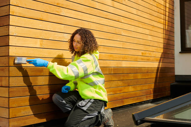 Best Storm Damage Siding Repair  in Pueblo West, CO