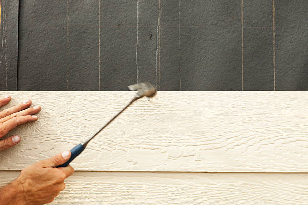 Best Custom Siding Design  in Pueblo West, CO